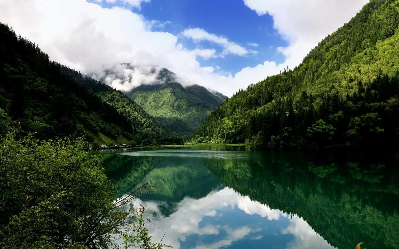 高效高标准
